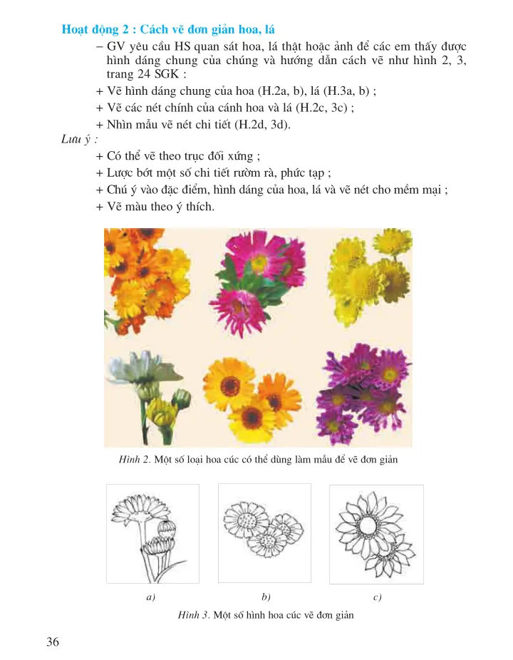 Bài 9: Vẽ trang trí Vẽ đơn giản hoa, lá
